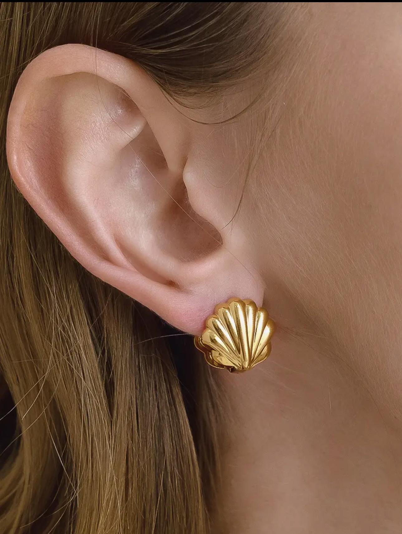 The Seashell Earrings